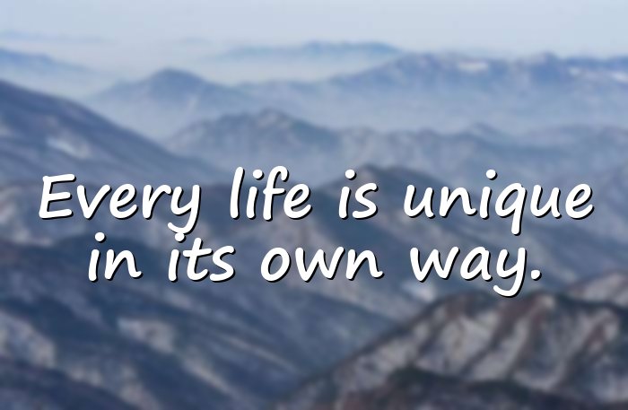 unique quotes on life - 1