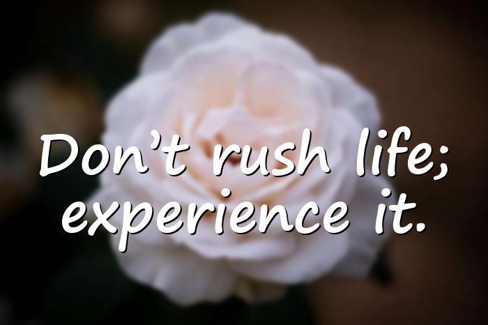 unique quotes on life short - 21