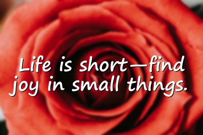 unique quotes on life short - 6