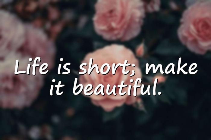 unique quotes on life short - 21
