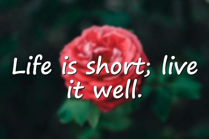 unique quotes on life short - 1