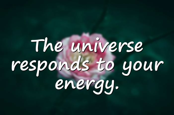 universe quotes - 21