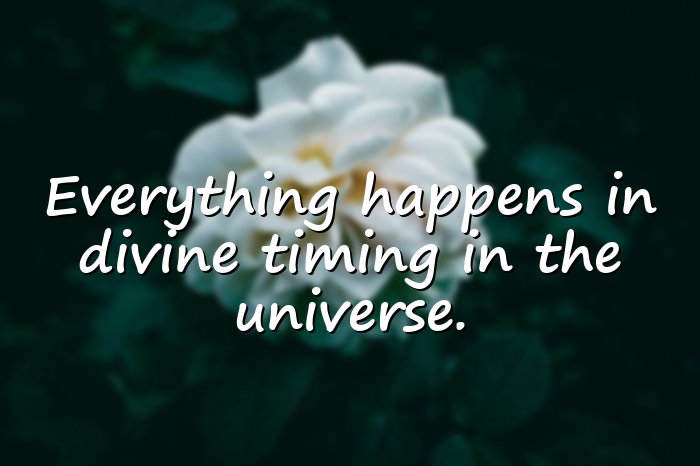 universe quotes - 11
