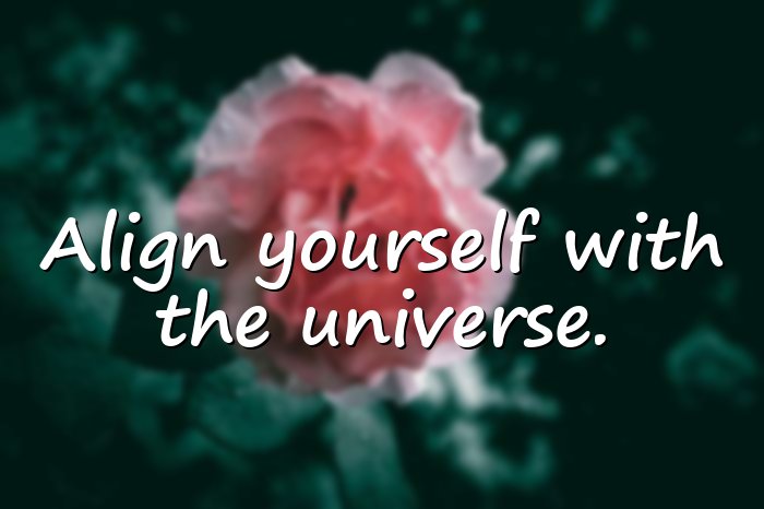 universe quotes - 1