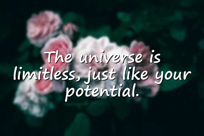 universe quotes - 21