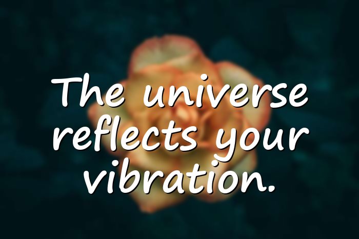 universe quotes - 16