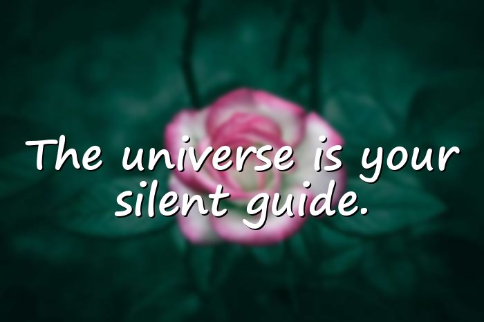 universe quotes - 11