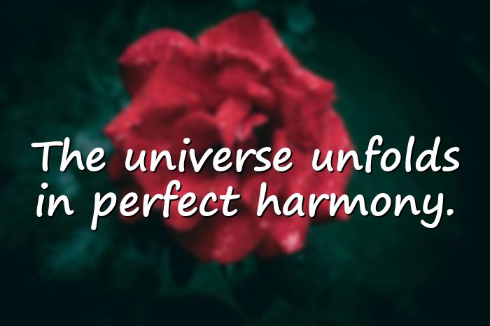 universe quotes - 6