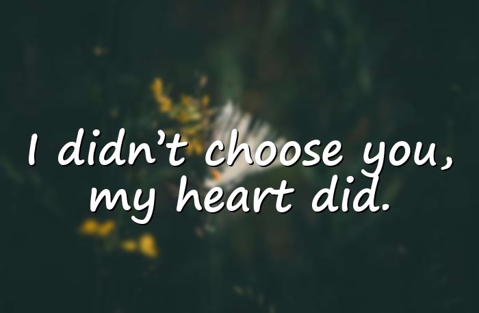 valentine\'s day quotes - 16