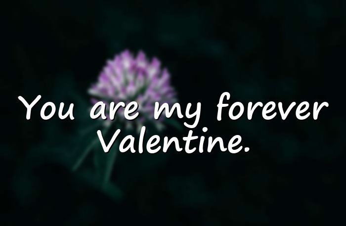 valentine\'s day quotes - 1