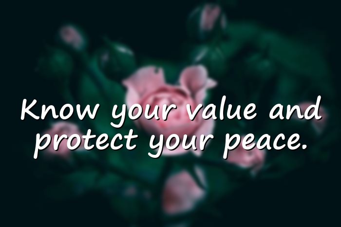 value quotes - 11