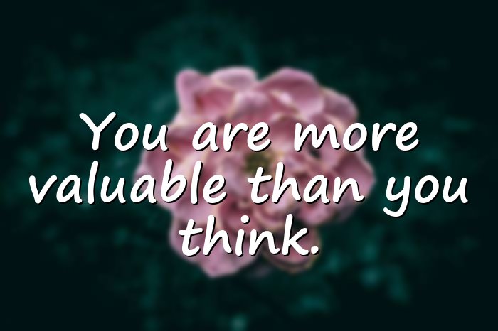 value quotes - 6