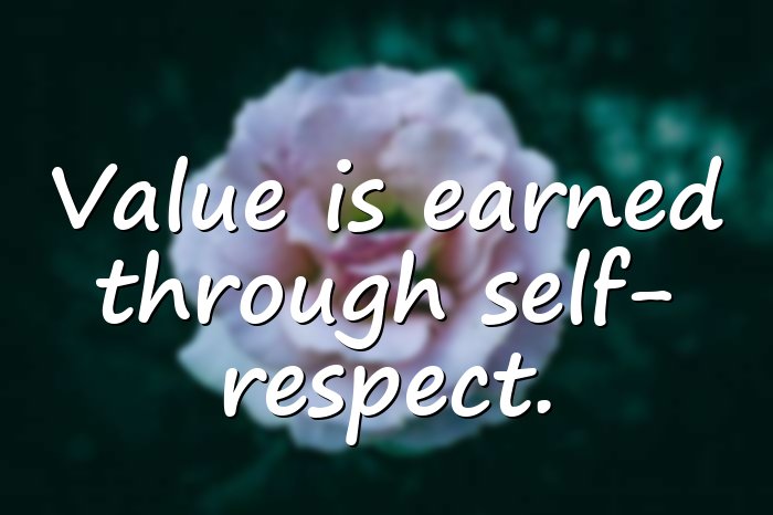 value quotes - 16