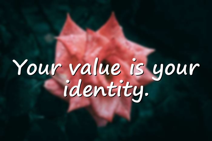 value quotes - 6