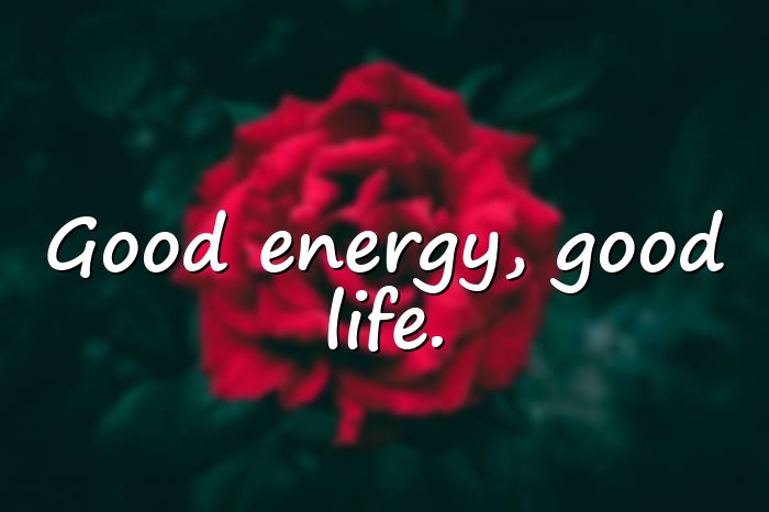 vibes quotes - 21