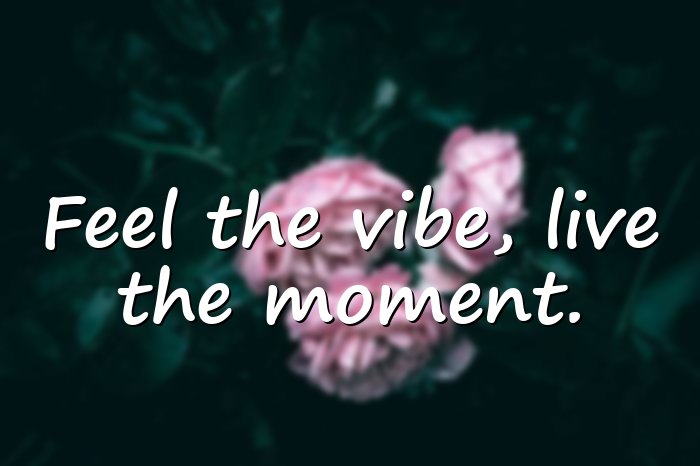 vibes quotes - 16