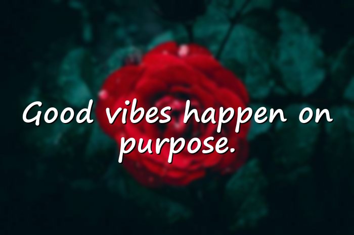 vibes quotes - 11