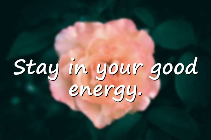 vibes quotes - 6
