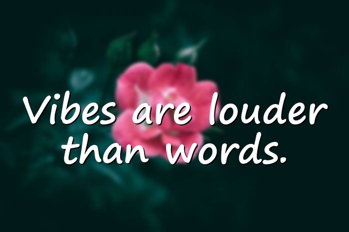 vibes quotes - 1