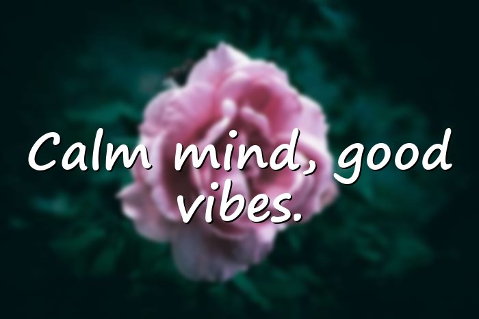 vibes quotes - 21