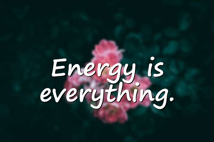 vibes quotes - 16