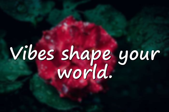 vibes quotes - 11
