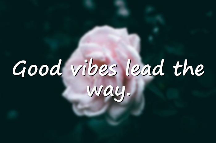 vibes quotes - 6