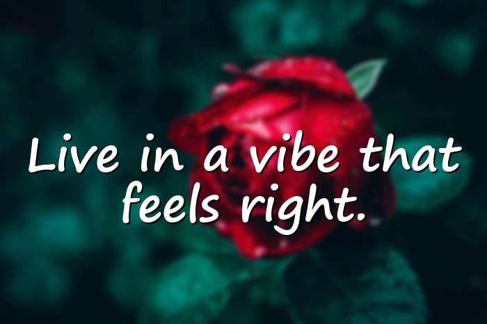 vibes quotes - 1