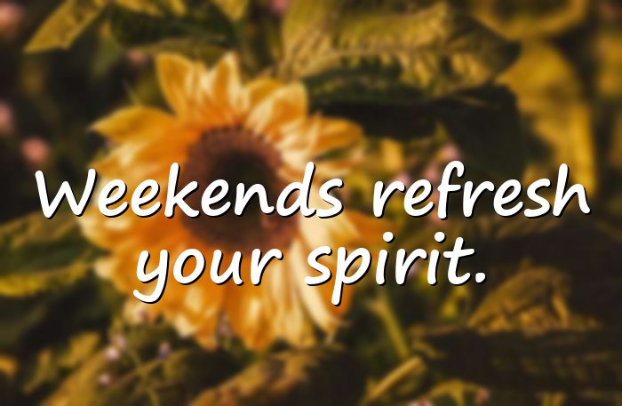 weekend quotes - 6