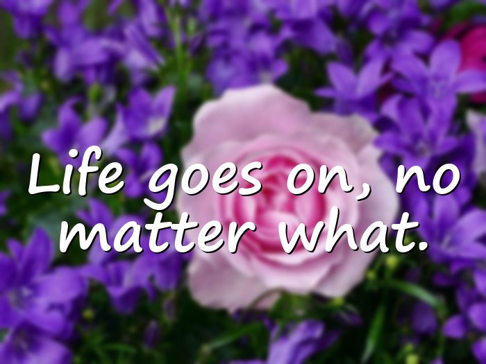 whatsapp quotes about life - 21