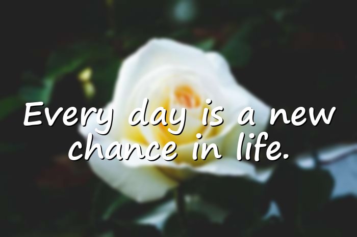 whatsapp quotes about life - 16