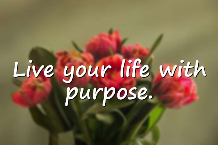 whatsapp quotes about life - 6