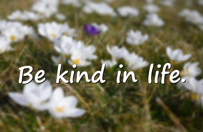 whatsapp quotes about life - 11