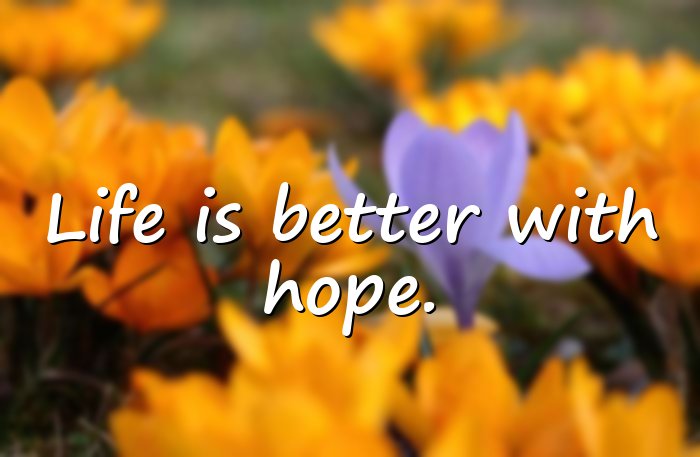 whatsapp quotes about life - 6