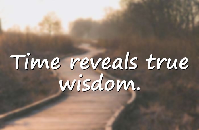 wisdom quotes - 16