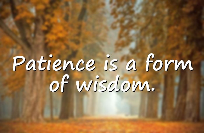 wisdom quotes - 11