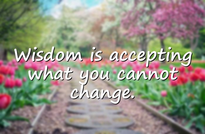 wisdom quotes - 16