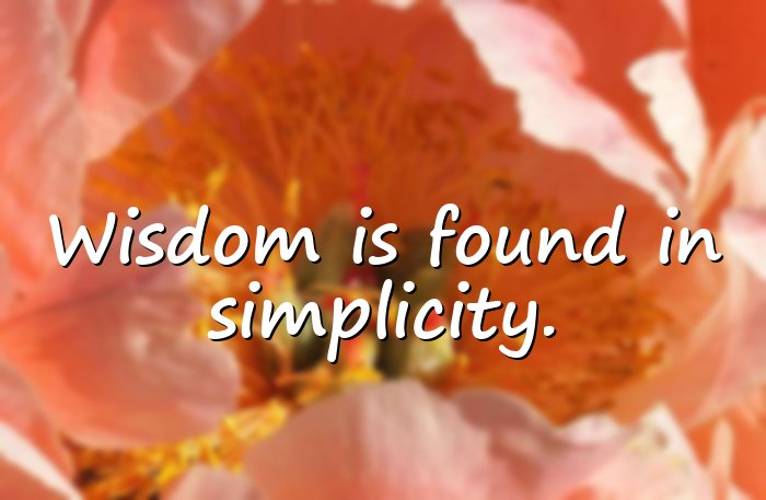 wisdom quotes - 11