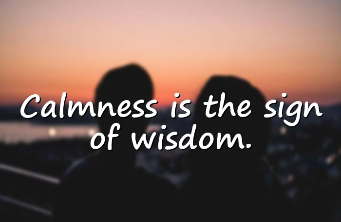 wisdom quotes - 6