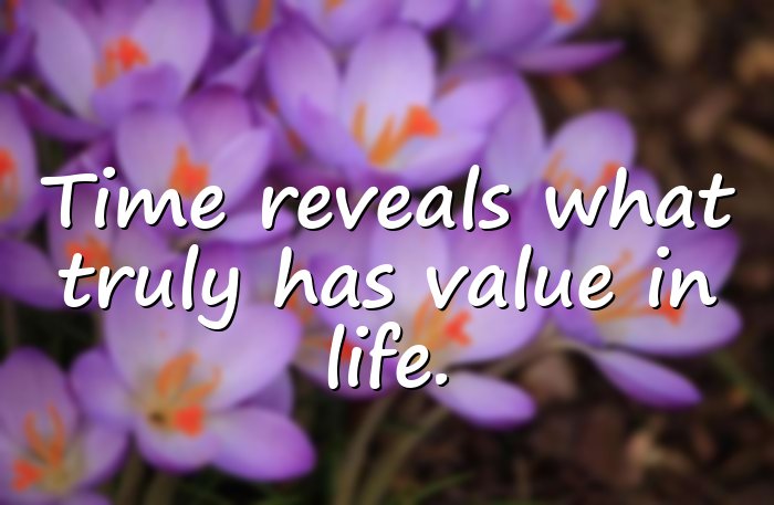 wisdom quotes about life - 16