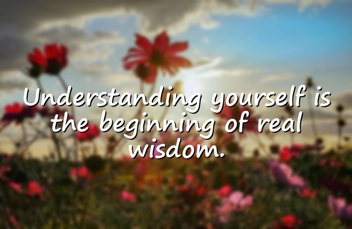 wisdom quotes about life - 11