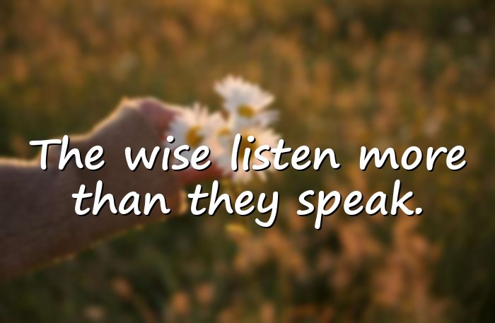 wise quotes - 16