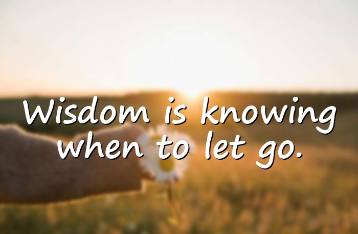 wise quotes - 11