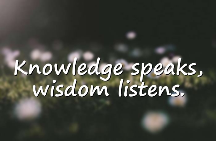 wise quotes - 6