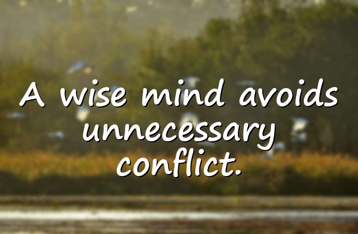 wise quotes - 1