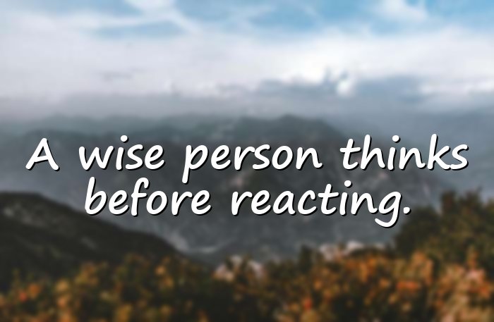 wise quotes - 21