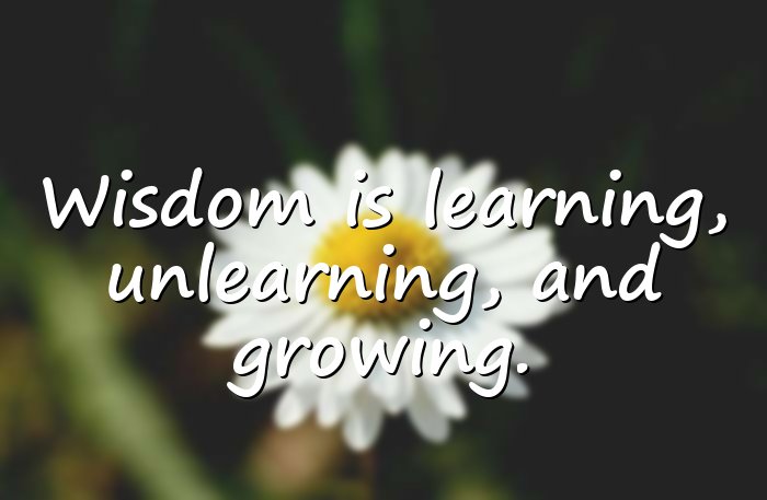 wise quotes - 11