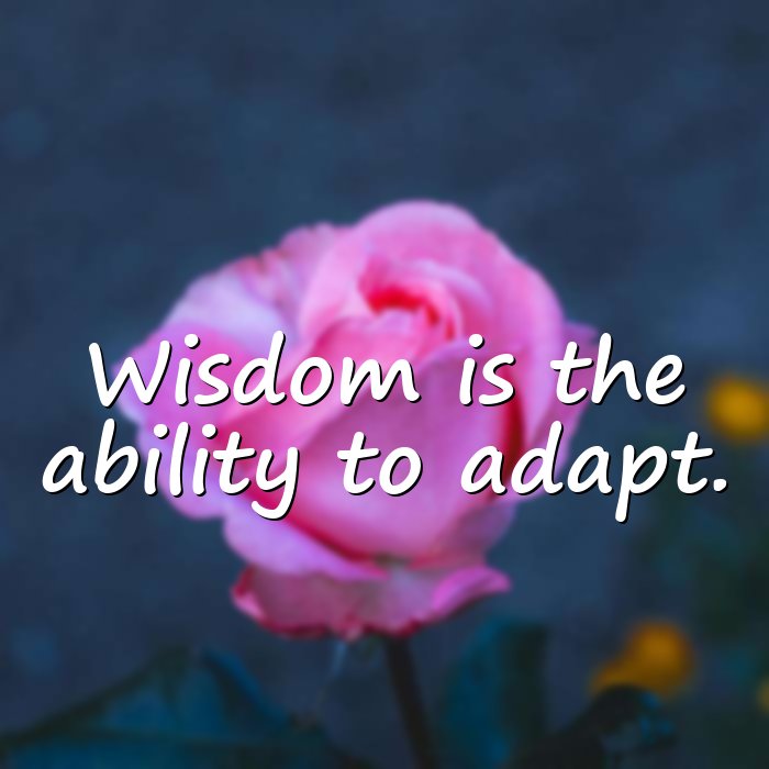 wise words - 6