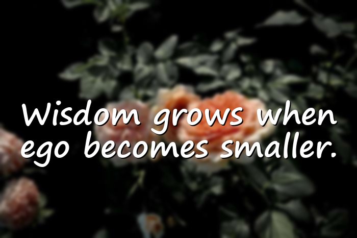 wise words - 21