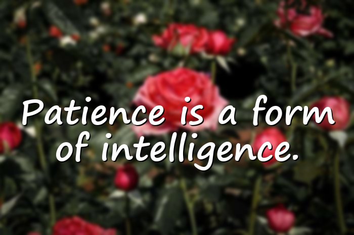 wise words - 11